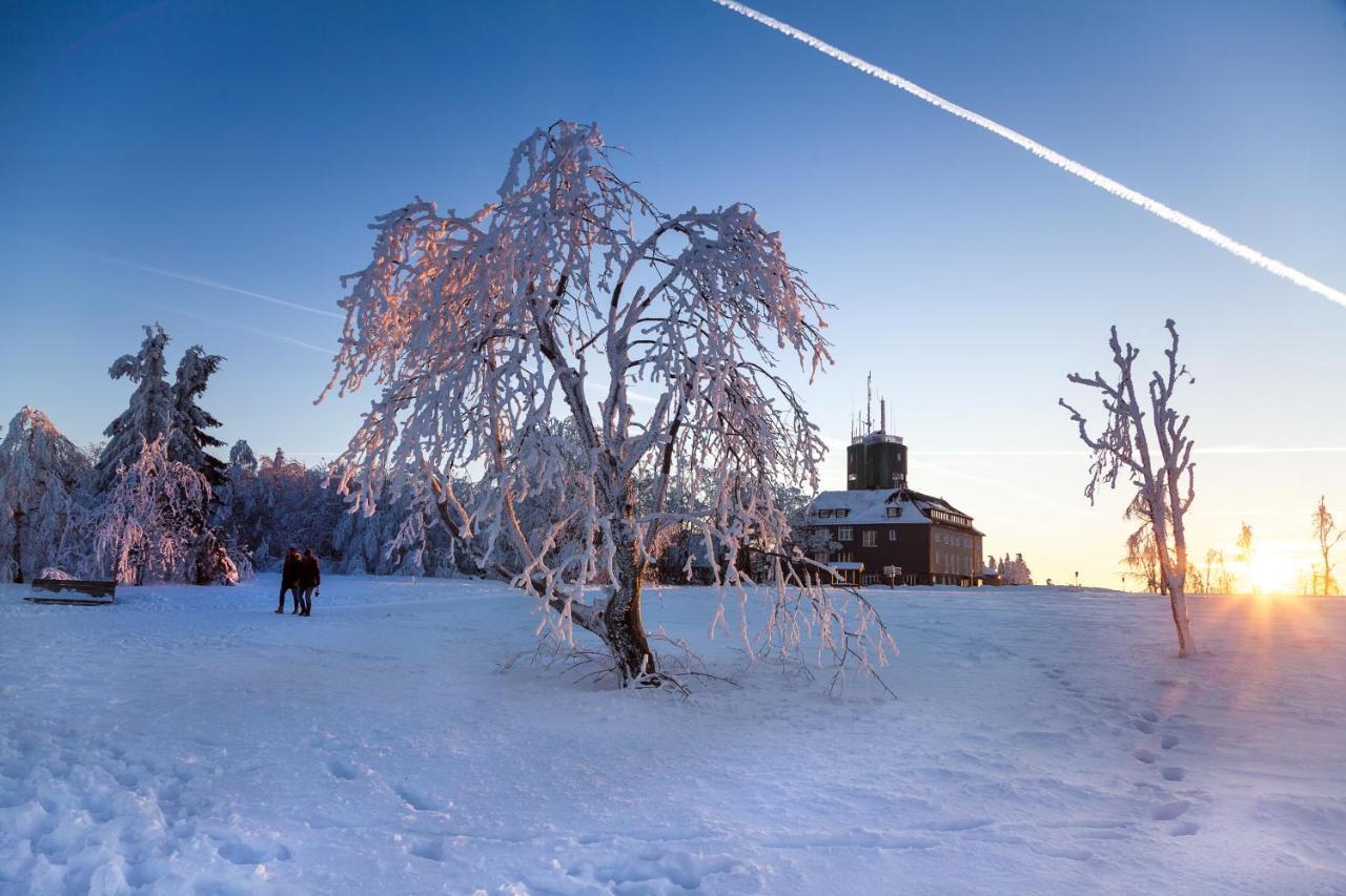 The Suite Winterberg Deluxe - Exklusive Ausstattung, Bestlage Zwischen Skikarussell Und Marktplatz, Eigener Garten, Ski- Und Fahrradraum, Ruhige Suedausrichtung, Wlan, Hundefreundlich Dış mekan fotoğraf