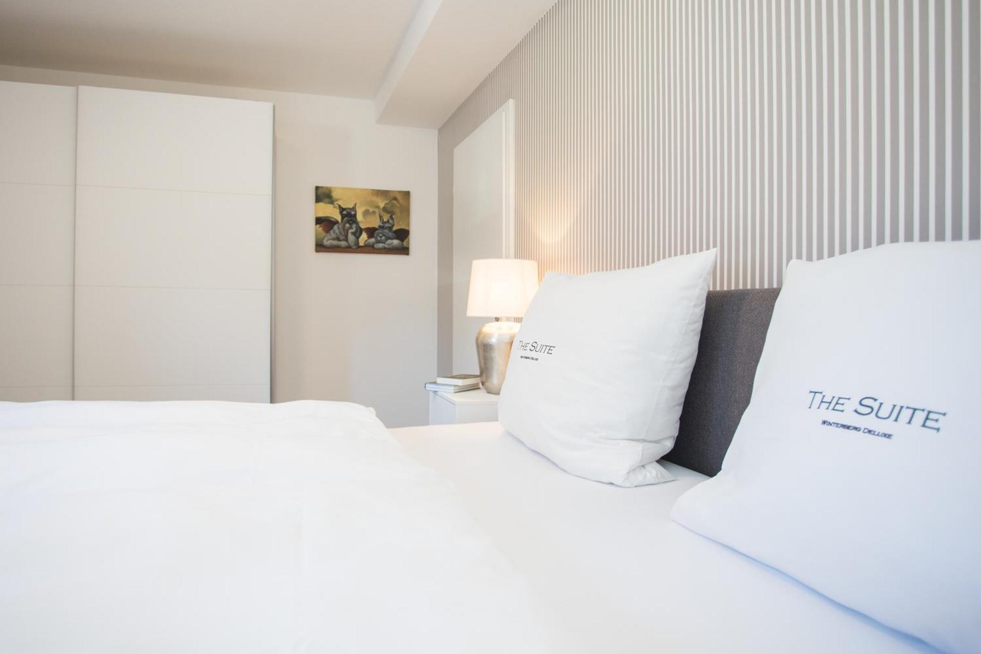 The Suite Winterberg Deluxe - Exklusive Ausstattung, Bestlage Zwischen Skikarussell Und Marktplatz, Eigener Garten, Ski- Und Fahrradraum, Ruhige Suedausrichtung, Wlan, Hundefreundlich Dış mekan fotoğraf