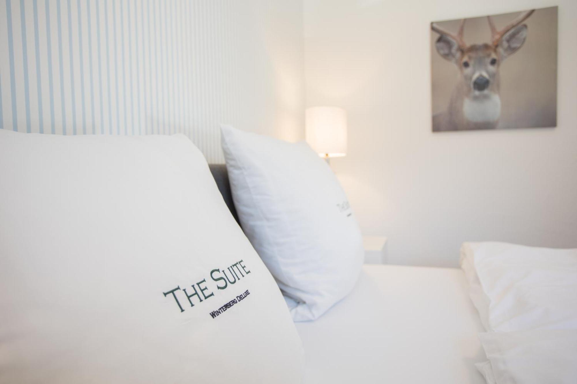 The Suite Winterberg Deluxe - Exklusive Ausstattung, Bestlage Zwischen Skikarussell Und Marktplatz, Eigener Garten, Ski- Und Fahrradraum, Ruhige Suedausrichtung, Wlan, Hundefreundlich Dış mekan fotoğraf